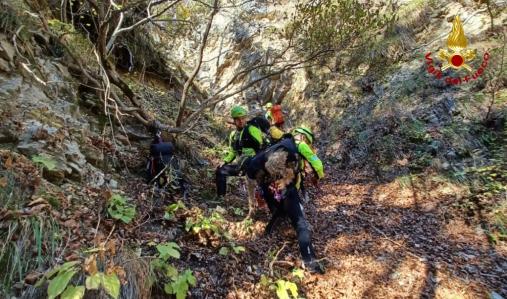 Soccorso cane a Sutrio
