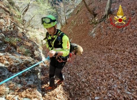 Soccorso cane a Sutrio