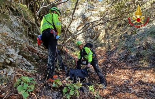 Soccorso cane a Sutrio