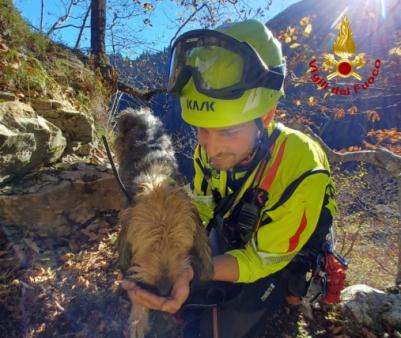 Soccorso cane a Sutrio