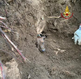 momento in cui Fulmine esce dalla cavità