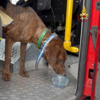 Fulmine che si rifocilla all'interno della nostra A.P.S. (Autopompa Serbatoio)