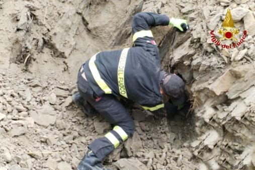 Recuperati due cani a San Ginesio