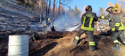 Intervento dei Vigili del fuoco per l'incendio di interfaccia in località Domegge a Calalzo di Cadore (BL)