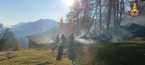 Intervento dei Vigili del fuoco per l'incendio di interfaccia in località Domegge a Calalzo di Cadore (BL)