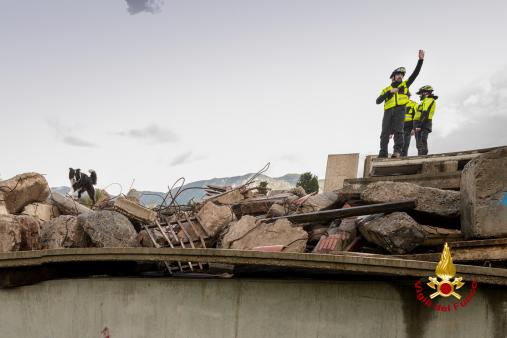 Nuove unità cinofile dei Vigili del Fuoco