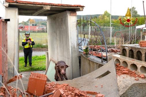 Nuove unità cinofile dei Vigili del Fuoco
