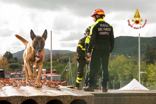 Nuove unità cinofile dei Vigili del Fuoco