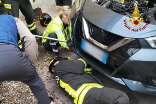 Sequals - soccorso gattino