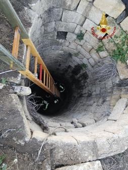 Soccorso un cane a Palagonia