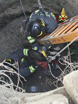 Soccorso un cane a Palagonia