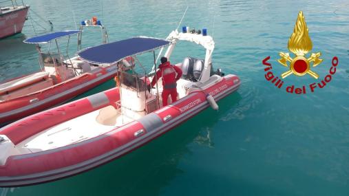 Tartaruga salvata a Catania