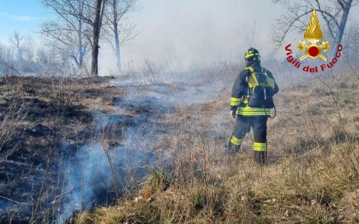 Incendio sterpaglie