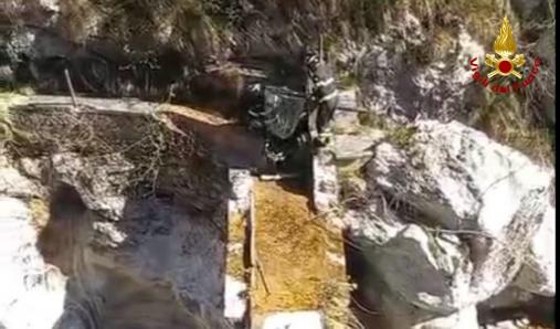 soccorso cucciolo di muflone