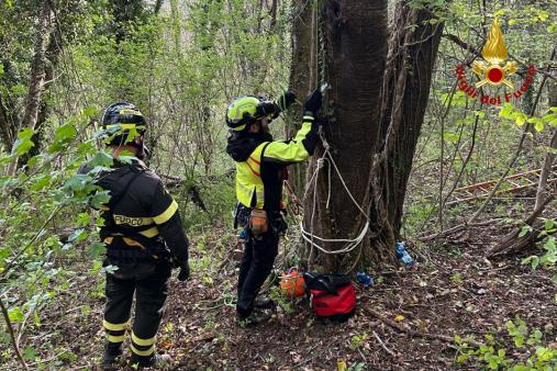 Parapendio su albero