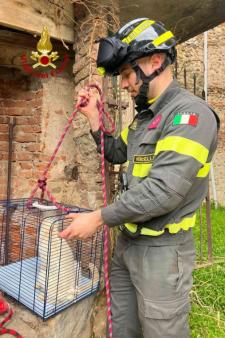 soccorso animale