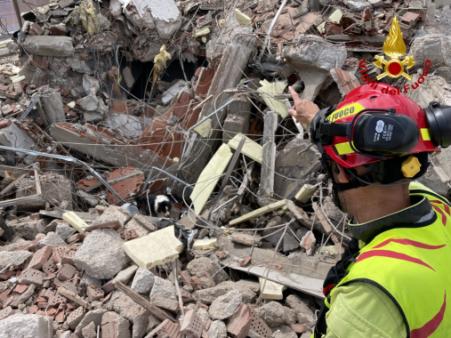 Addestramento cinofili