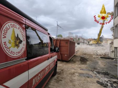 Addestramento cinofili