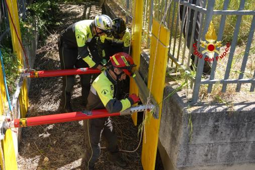ADDESTRAMENTO SOTTO MACERIE PER IL TEAM USAR MEDIUM