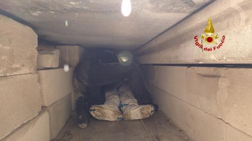 ADDESTRAMENTO SOTTO MACERIE PER IL TEAM USAR MEDIUM