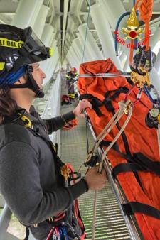 Mantenimenti SAF Basico