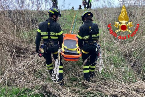 Mantenimenti SAF Basico