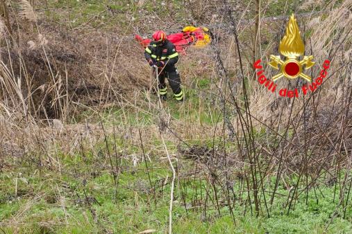 Mantenimenti SAF Basico