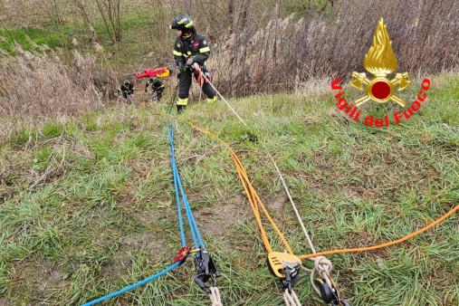 Mantenimenti SAF Basico