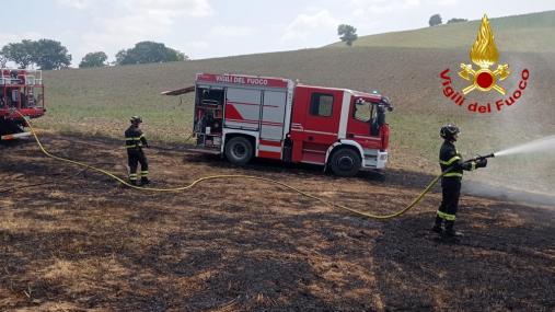 Vigili del fuoco spegnono incendio di sterpaglie a San Severino Marche