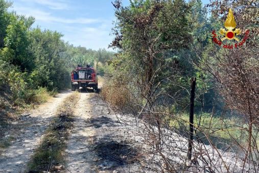 Principio incendio sterpaglie