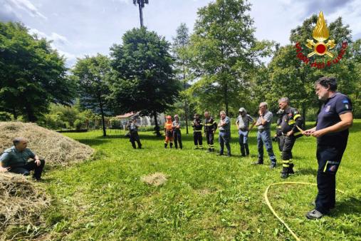 Aggiornamento DOS FVG