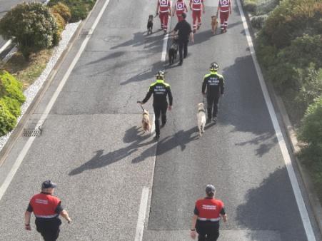 Festa della Repubblica