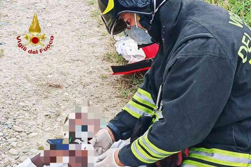 Incidente stradale - incendio vettura