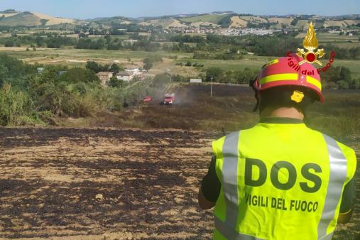 incendio di vegetazione
