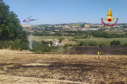 incendio di vegetazione