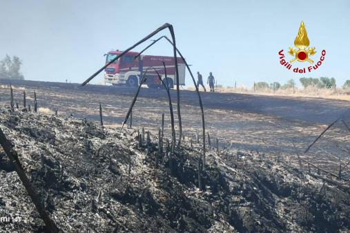 incendio di vegetazione