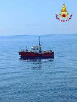 vf 1081