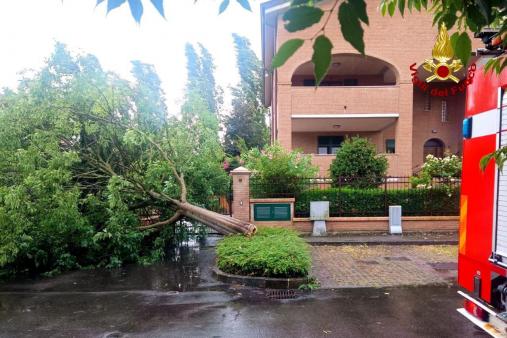 Vigili del fuoco liberano l'accesso a un'abitazione da un albero caduto