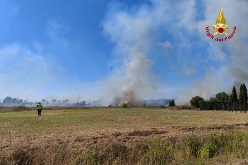 Una vista degi ettari di terreno bruciati a Borgo Piave