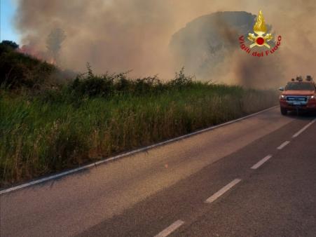 Incendi boschivi nel Comune di Scansano e Civitella Paganico
