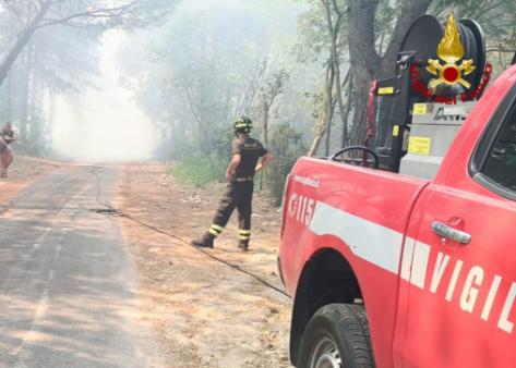 Incendio boschivo Monfalcone