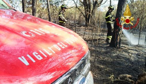Incendio boschivo Monfalcone