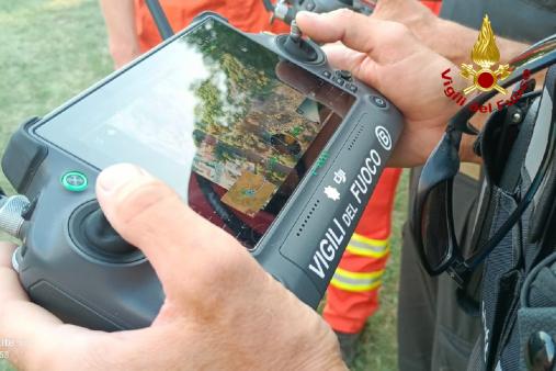 Incendio boschivo Monfalcone