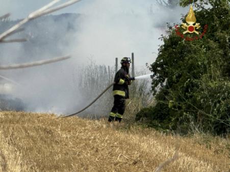 incendio sterpaglia e manufatto agricolo