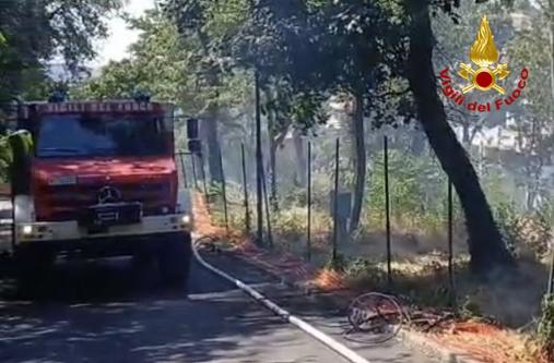 Incendio sterpaglie San Giovanni