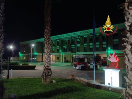 Sindrome Pans Pandas