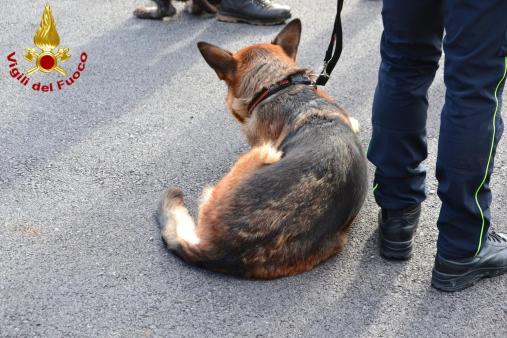 Endine Gaiano teatro di una maxi-esercitazione. Testata la risposta provinciale in caso di attivazione del Piano di Ricerca Persone Scomparse.