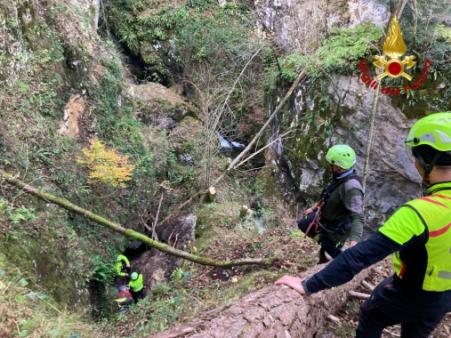 Salvataggio vitellina