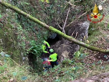 Salvataggio vitellina