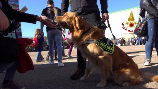 Geronimo Stilton incontra i Vigili del Fuoco e i bambini delle scuole di Cagliari Una giornata di coraggio, amicizia e fantasia nella città del sole